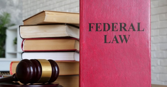 federal law books